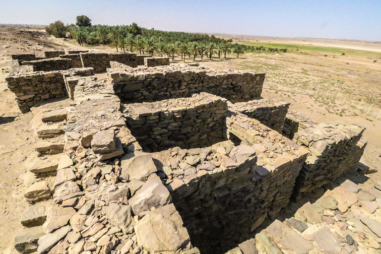 Desde AlUla: recorrido histórico de un día por Tayma con almuerzo y traslado