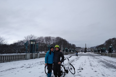 奥斯陆冬季精华 3 小时自行车之旅