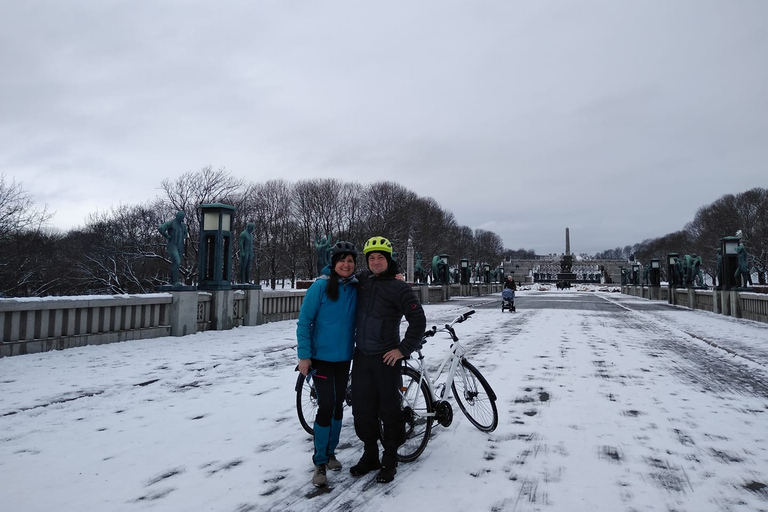 奥斯陆冬季精华 3 小时自行车之旅