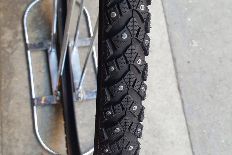 奥斯陆冬季精华 3 小时自行车之旅