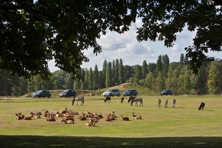 Ticket de entrada al WOW Safari ThoiryTicket de entrada a WOW Safari Thoiry