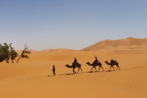 Fes: Merzouga Desert 2-Day Tour
