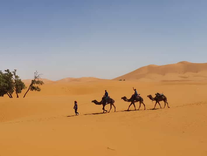 Fes: Merzouga Desert 2-Day Tour | GetYourGuide