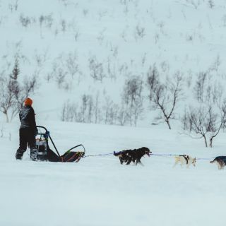 Tromsø: Dog Sledding and Guided Ice Domes Visit