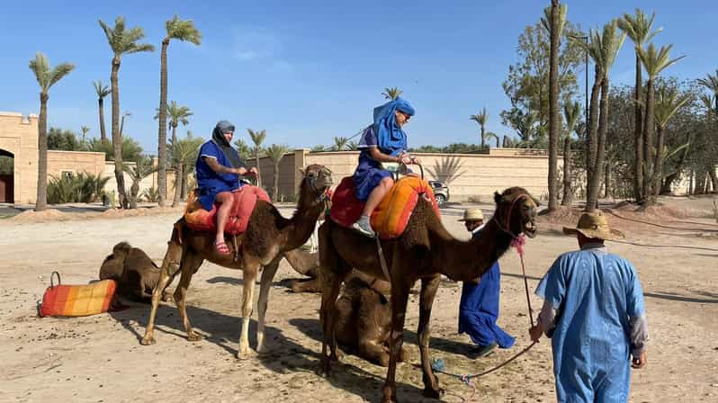 Marrakech: Camel Ride in the Oasis Palmeraie | GetYourGuide