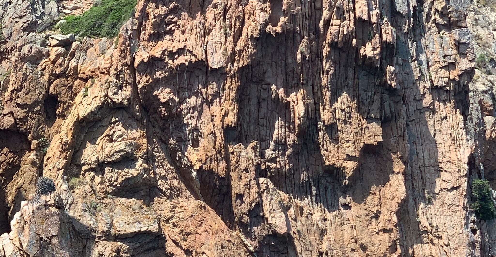 Corse, capesques de pnema et chute par boather - Housity