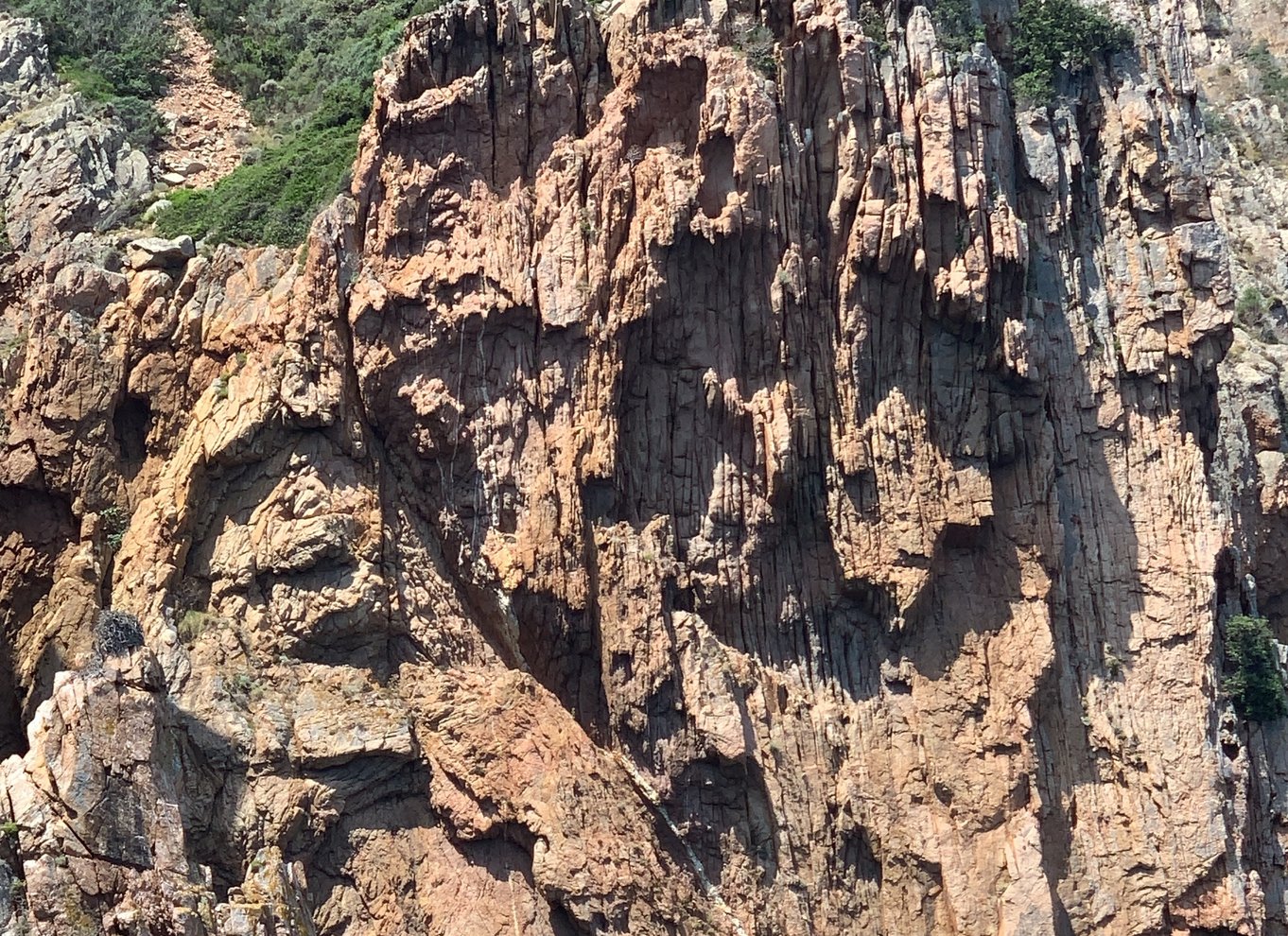 Korsika: Piana Calanques og grotter med båd