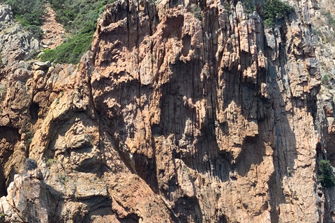 Corsica: Piana Calanques and Caves by Boat