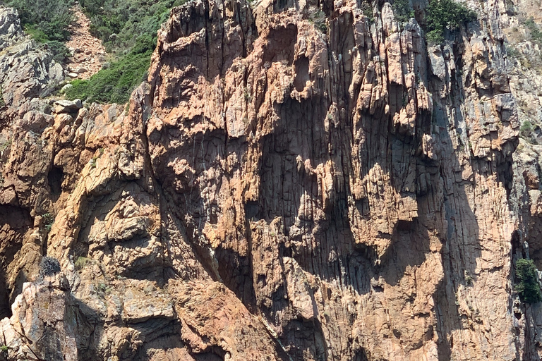 Corsica: Piana Calanques and Caves by Boat
