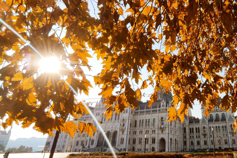 Budapest: Downtown and Jewish Quarter Tour in German