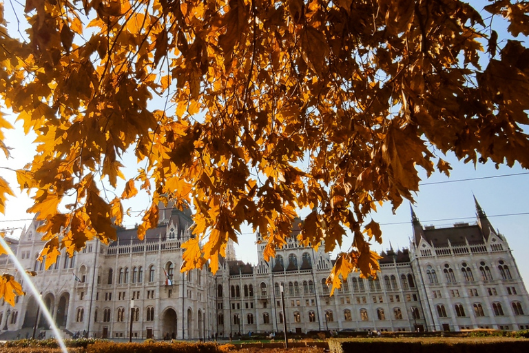 Budapest: Downtown and Jewish Quarter Tour in German