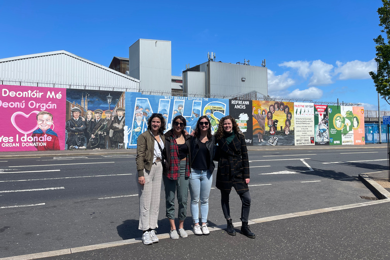 Belfast: Private Full-Day Belfast and Giant's Causeway Tour