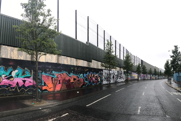 Belfast: Private Full-Day Belfast and Giant's Causeway Tour