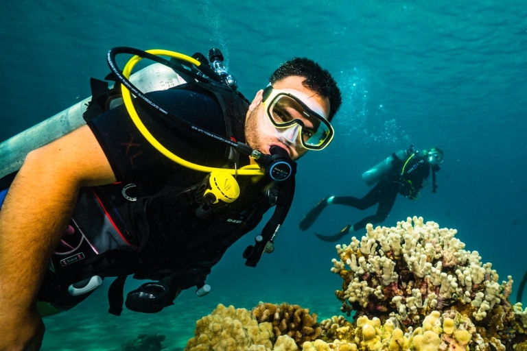 Lahaina: Discover Scuba Diving Kurs