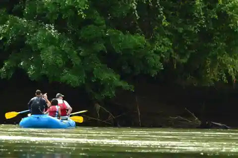 Nattlig natur Safari Float