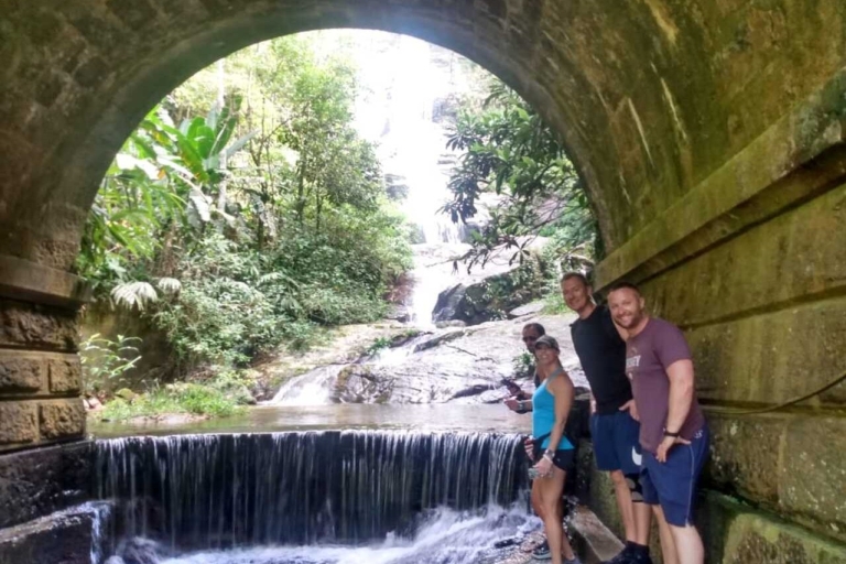Río: caminata guiada privada por el Parque Nacional Tijuca con trasladoTour privado con recogida en el aeropuerto y regreso a los hoteles de Río