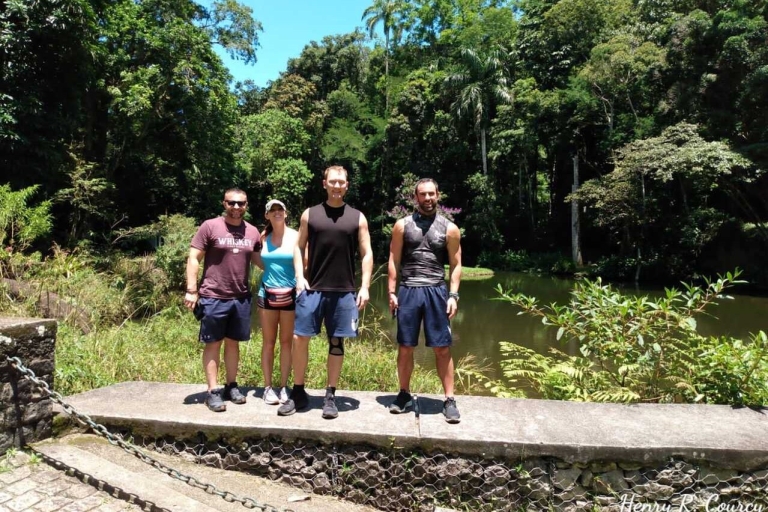 Río: caminata guiada privada por el Parque Nacional Tijuca con trasladoTour privado con traslado desde hoteles de Río