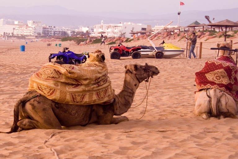Van Taghazout: Agadir-markten en rondleiding met arganolie