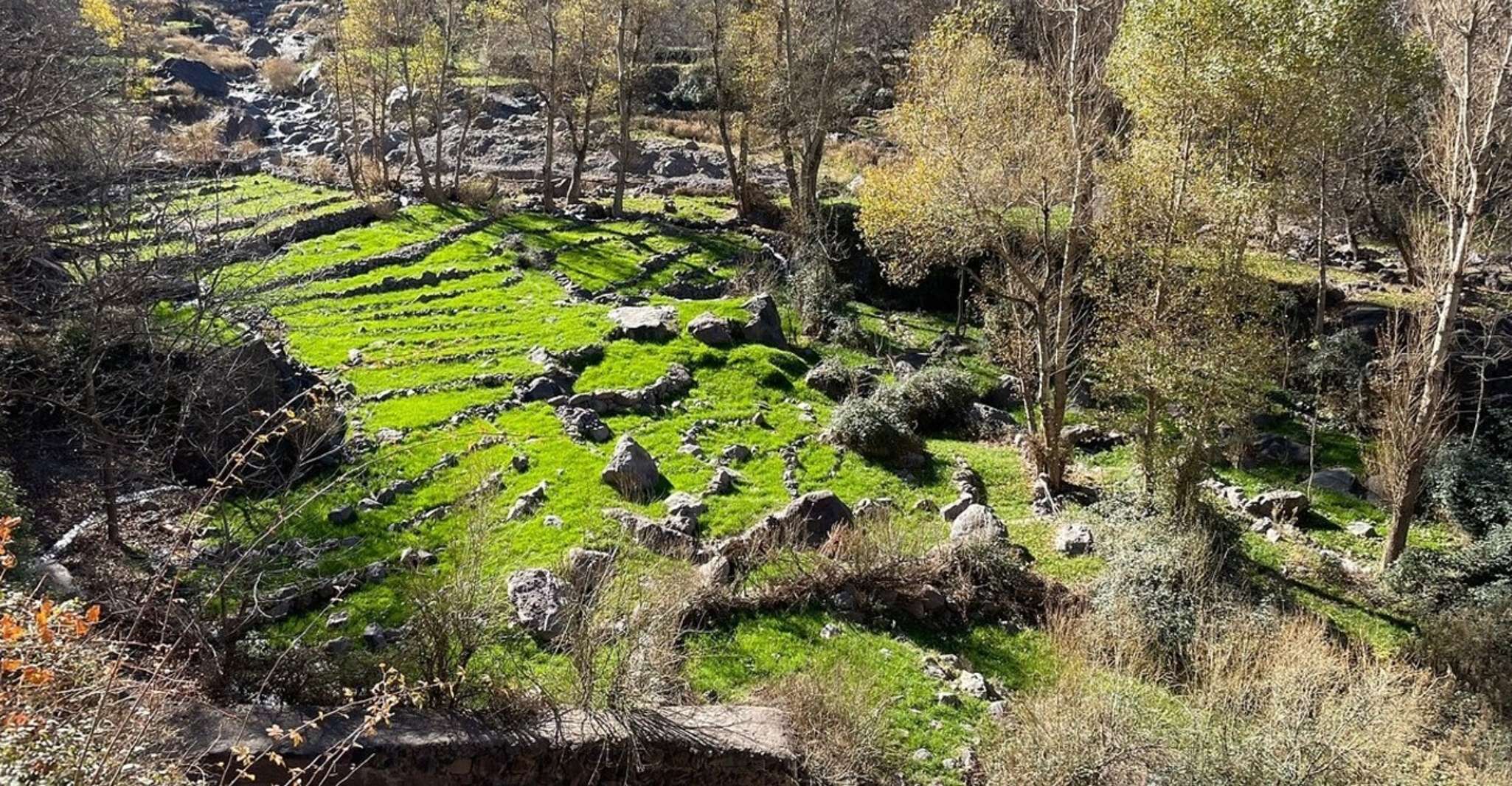 Marrakesch, Atlas Mountains, Berberdörfer & Wasserfalltour - Hizvo