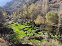 Marrakech, montagnes de l'Atlas, villages berbères et visite des chutes d'eau - Hizvo