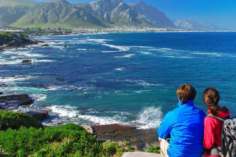 From Cape Town: Hermanus Whale Watching Full Day Tour default