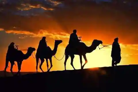 Tangier: Day Trip from Tarifa with camel ride &lunch