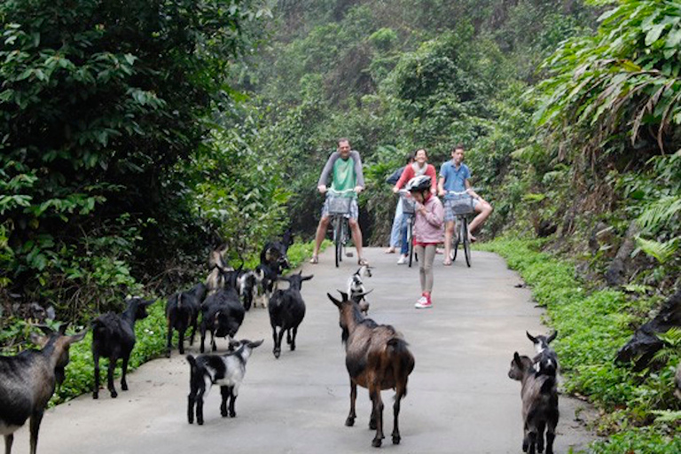 Desde Hanoi: crucero de 3 días por la bahía de Ha Long y la isla de Cat Ba