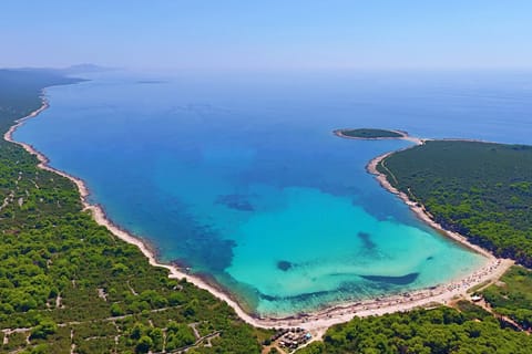 From Zadar: Sakarun Beach & Sunken Ship Snorkeling Tour
