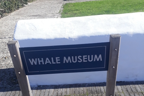 De Cape Town: Hermanus Whale Watching Tour avec transfert