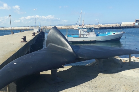 De Cape Town: Hermanus Whale Watching Tour avec transfert