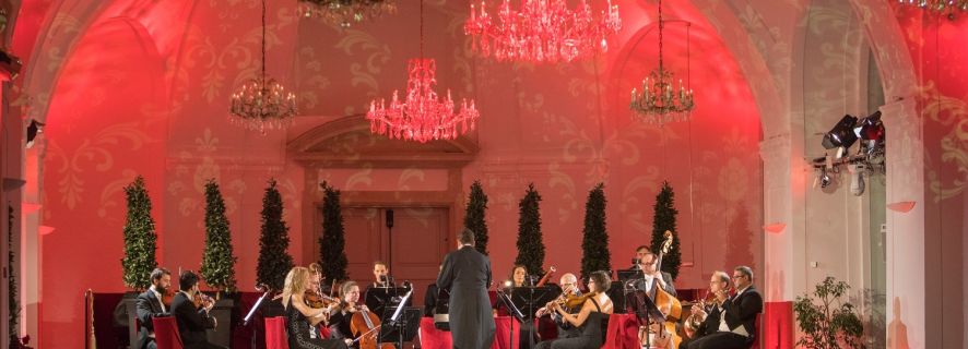 Vienna: Tour of Schönbrunn Palace with Dinner and a Concert