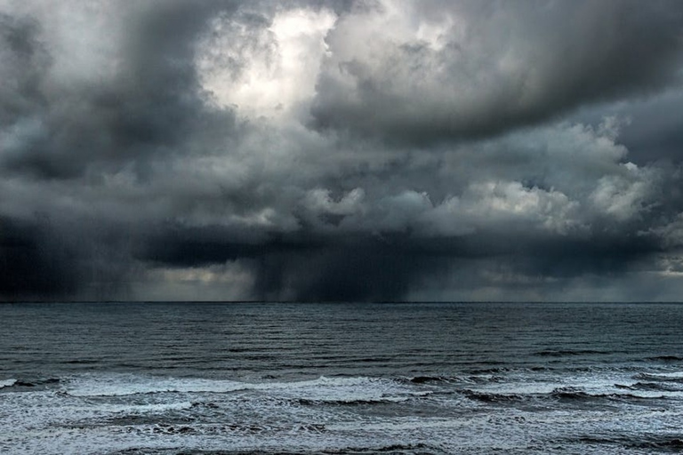 Juneau: Obserwacja wielorybów i jednodniowa wycieczka na lodowiec Mendenhall