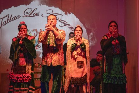 Malaga: traditionele flamencoshow in Tablao Los Amayas