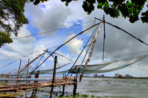 COLLINE E BACKWATERS DEL KERALA - 5 NOTTI / 6 GIORNI