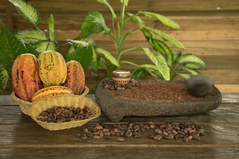 Nature Safari Float + Chocolate Tour