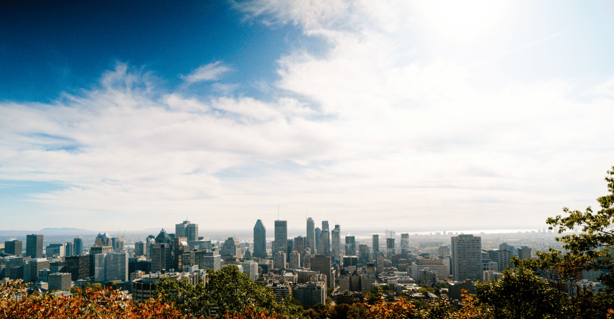 Montreal: Small Group Tour with River Cruise and Notre Dame photo 4
