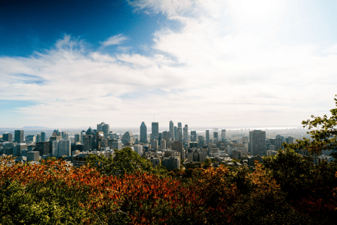 Montreal: Sightseeingtour met kleine groep met seizoenscruiseGedeelde rondleiding