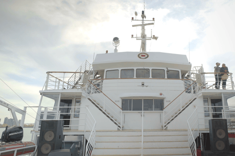 Montreal: tour panorámico en grupo reducido con cruceroTour en grupo