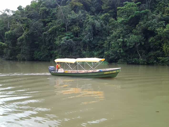 From Panama City Monkey Island Boat Tour with Transfer GetYourGuide