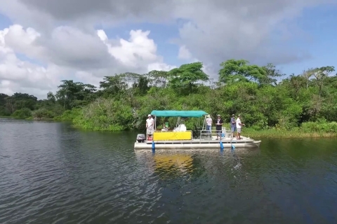 De Panama City: excursion en bateau sur l'île aux singes avec transfert