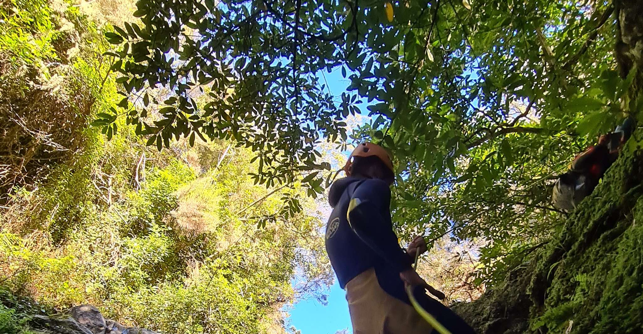 From Funchal, Madeira Island Canyoning for Beginners - Housity