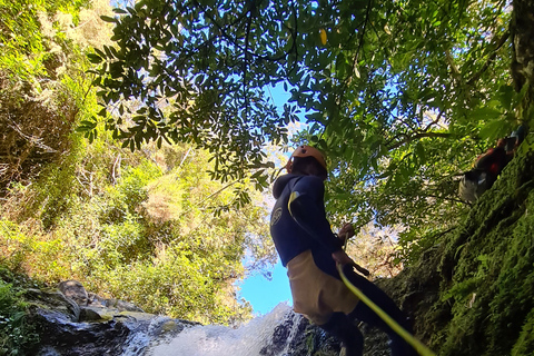 Van Funchal: Canyoning op het eiland Madeira voor beginners