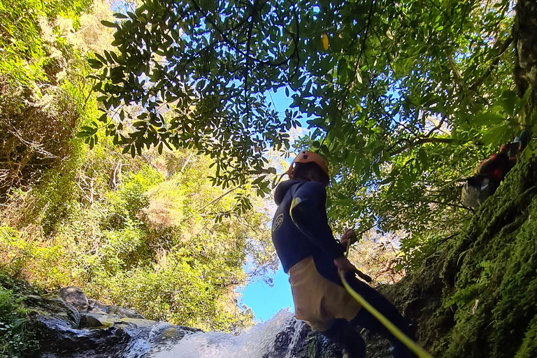 From Funchal: Madeira Island Canyoning for Beginners