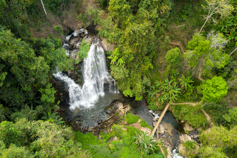 Van Chiang Mai: Doi Inthanon National Park-wandeltocht