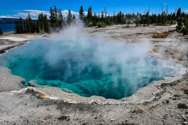 Yellowstone National Park Private Day Tour | GetYourGuide