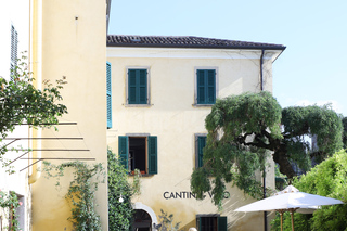 Food & Wine Experiences
