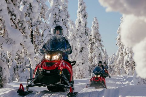 Rovaniemi: passeio de aventura em moto de neve apenas para adultos