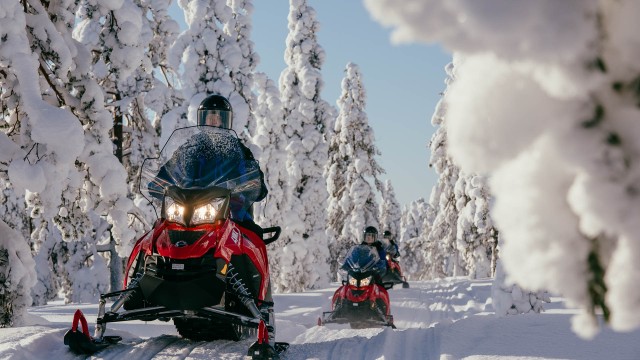 Visit Rovaniemi: Snowmobile Adventure Tour for Adults Only in Rovaniemi