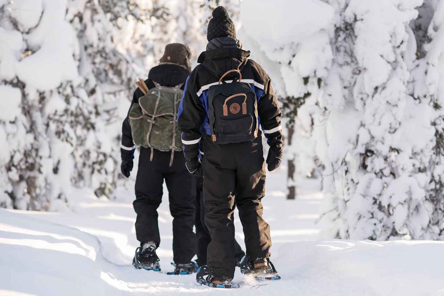 Gönguskíði í vetrarparadís norðursins