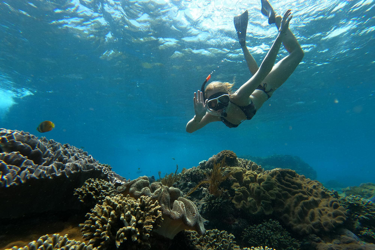 Nusa Penida: Ganztägiges Schnorcheln mit Manta-Rochen am Manta PointSchnorcheln und Westland Tour (Treffpunkt - Penida Port)